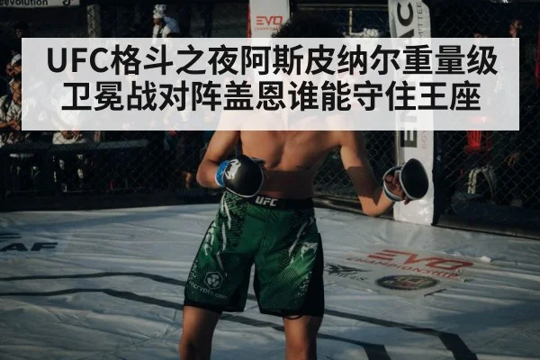 UFC格斗之夜阿斯皮纳尔重量级卫冕战对阵盖恩谁能守住王座 | kaiyun